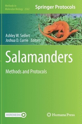 Salamanders (inbunden)