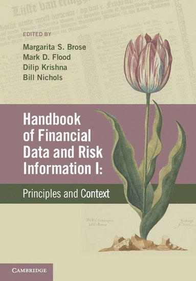 Handbook of Financial Data and Risk Information I: Volume 1 (inbunden)