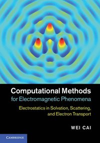Computational Methods for Electromagnetic Phenomena (inbunden)