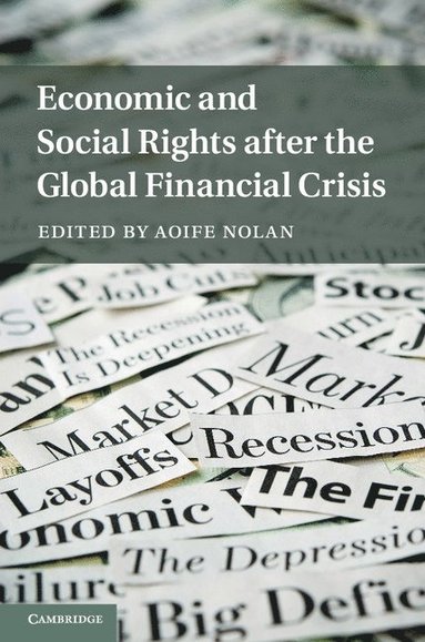 Economic and Social Rights after the Global Financial Crisis (inbunden)