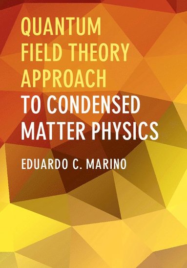 Quantum Field Theory Approach to Condensed Matter Physics (inbunden)