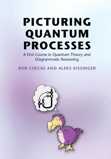 Picturing Quantum Processes (inbunden)