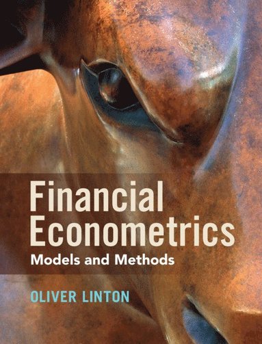 Financial Econometrics (häftad)