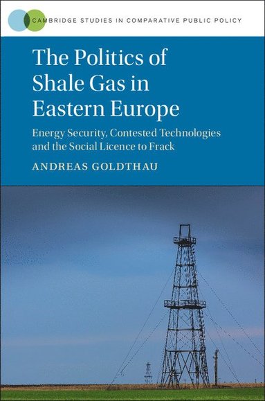 The Politics of Shale Gas in Eastern Europe (inbunden)