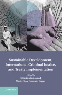 Sustainable Development, International Criminal Justice, and Treaty Implementation (e-bok)