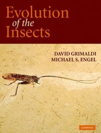 Evolution of the Insects (e-bok)