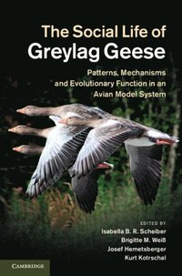 Social Life of Greylag Geese (e-bok)