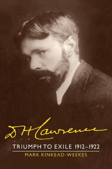 D. H. Lawrence: Triumph to Exile 1912-1922 (hftad)
