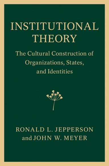 Institutional Theory (häftad)