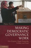 Making Democratic Governance Work (hftad)