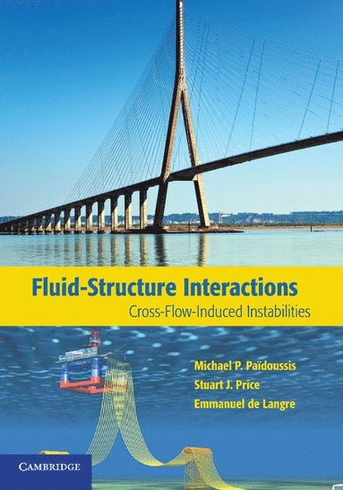 Fluid-Structure Interactions (häftad)