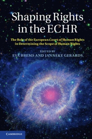 Shaping Rights in the ECHR (e-bok)