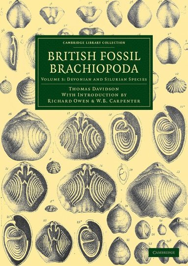 British Fossil Brachiopoda (hftad)