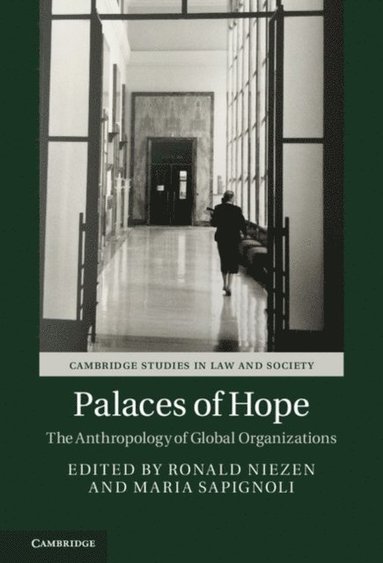 Palaces of Hope (e-bok)