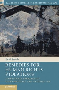 Remedies for Human Rights Violations (e-bok)