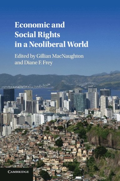 Economic and Social Rights in a Neoliberal World (hftad)