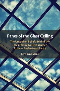 Panes of the Glass Ceiling (häftad)