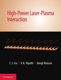 High-Power Laser-Plasma Interaction (inbunden)