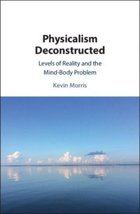 Physicalism Deconstructed (e-bok)