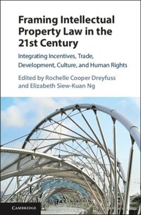 Framing Intellectual Property Law in the 21st Century (e-bok)