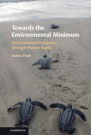 Towards the Environmental Minimum (inbunden)
