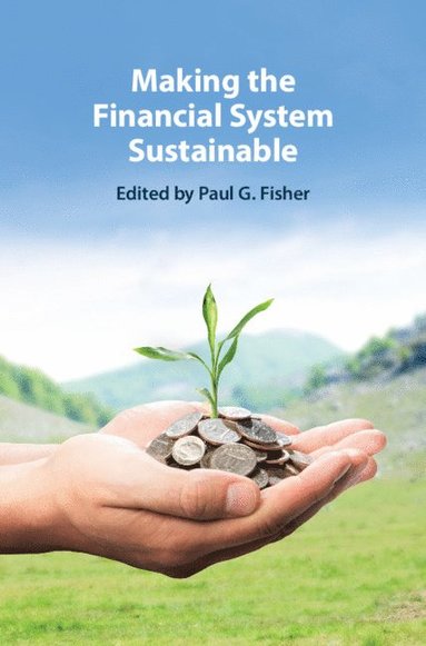 Making the Financial System Sustainable (inbunden)