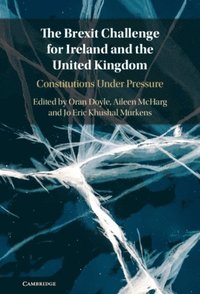 Brexit Challenge for Ireland and the United Kingdom (e-bok)