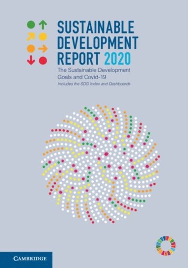Sustainable Development Report 2020 (e-bok)
