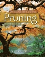 An Illustrated Guide to Pruning (häftad)