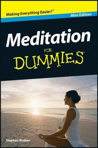 Meditation For Dummies, Mini Edition (e-bok)