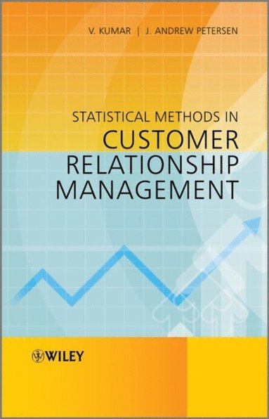 Statistical Methods in Customer Relationship Management (e-bok)