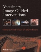 Veterinary Image-Guided Interventions (inbunden)