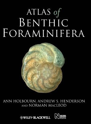 Atlas of Benthic Foraminifera (inbunden)