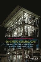 Synthetic Natural Gas (inbunden)