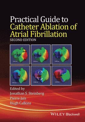 Practical Guide to Catheter Ablation of Atrial Fibrillation (häftad)