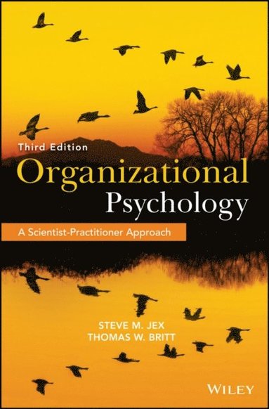 Organizational Psychology (e-bok)