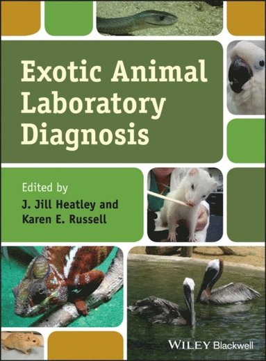 Exotic Animal Laboratory Diagnosis (e-bok)