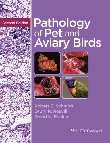 Pathology of Pet and Aviary Birds (inbunden)
