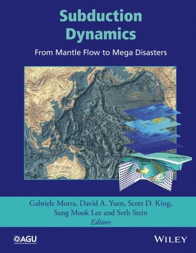 Subduction Dynamics (e-bok)
