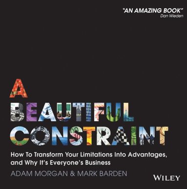 Beautiful Constraint (e-bok)
