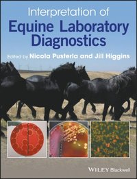 Interpretation of Equine Laboratory Diagnostics (e-bok)