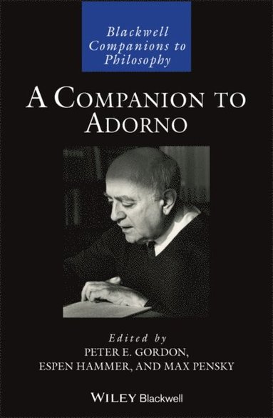 Companion to Adorno (e-bok)
