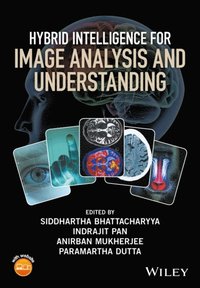 Hybrid Intelligence for Image Analysis and Understanding (e-bok)