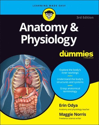 Anatomy & Physiology For Dummies (häftad)