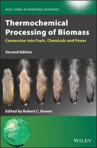 Thermochemical Processing of Biomass (inbunden)