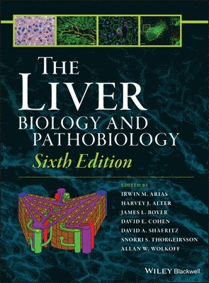 Liver (hftad)