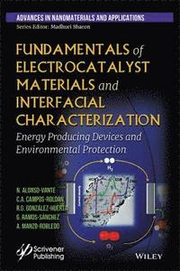 Fundamentals of Electrocatalyst Materials and Interfacial Characterization (inbunden)