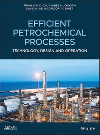 Efficient Petrochemical Processes (inbunden)