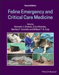 Feline Emergency and Critical Care Medicine (inbunden)