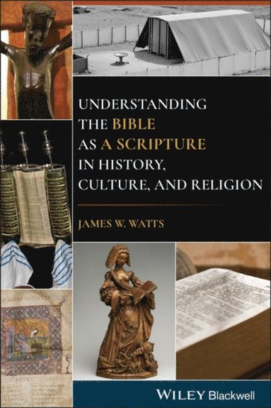 Understanding the Bible as a Scripture in History, Culture, and Religion (e-bok)